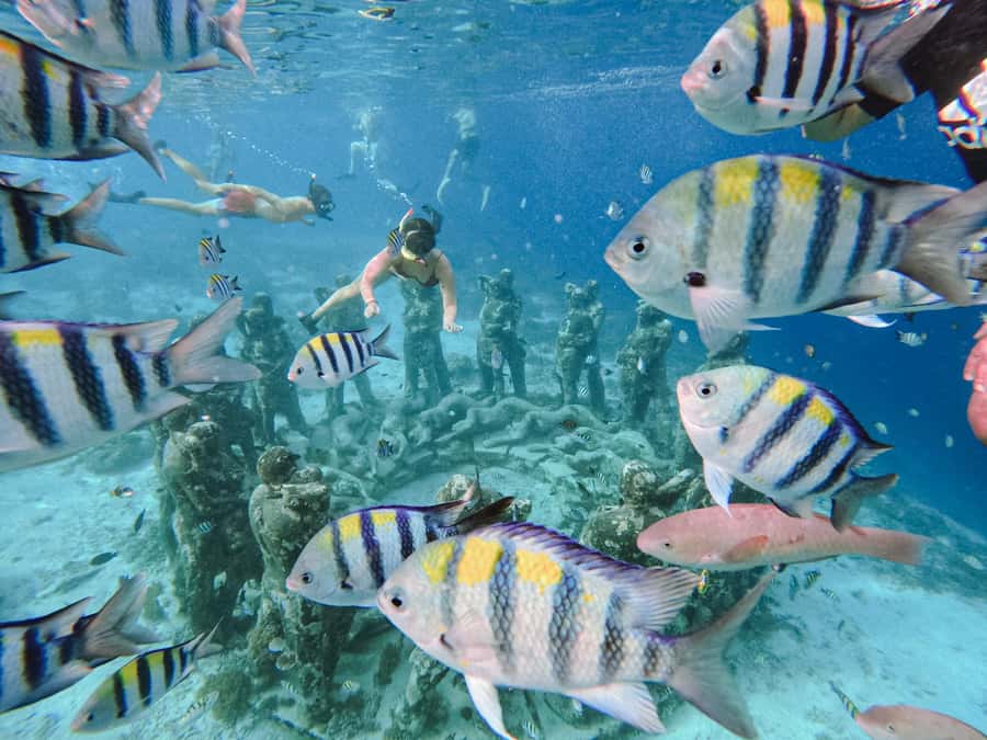 From Gili Meno: Private Snorkeling with Turtle & Statue - A private start from Diana Cafe on Gili Meno