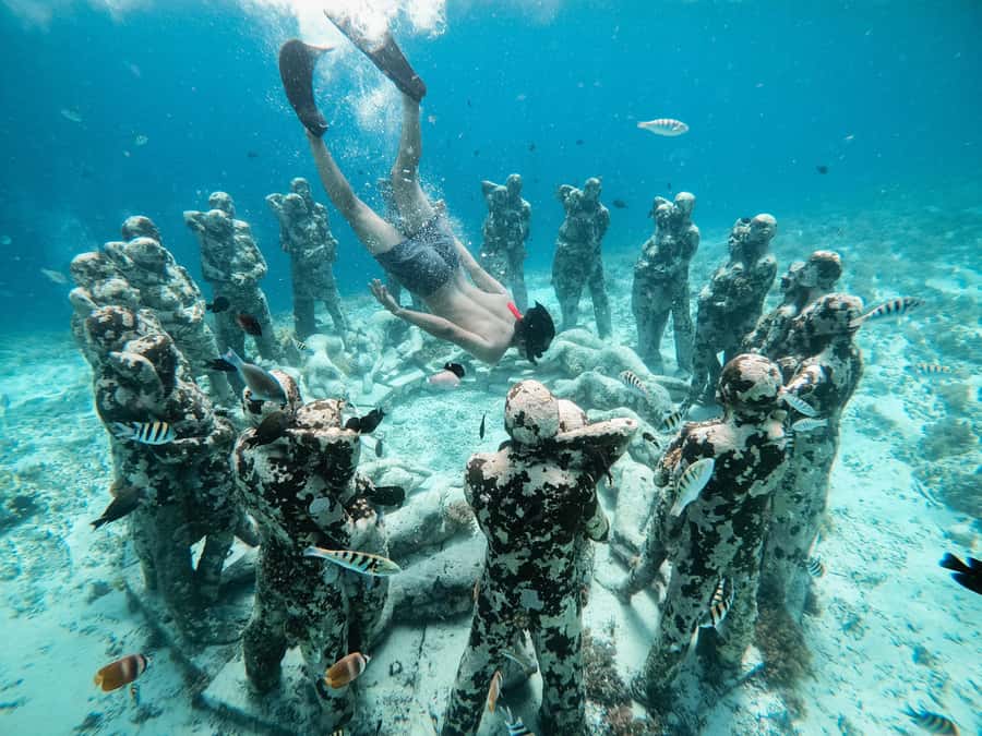 From Gili Meno: Private Snorkeling with Turtle & Statue - Swimming with turtles around Gili Meno