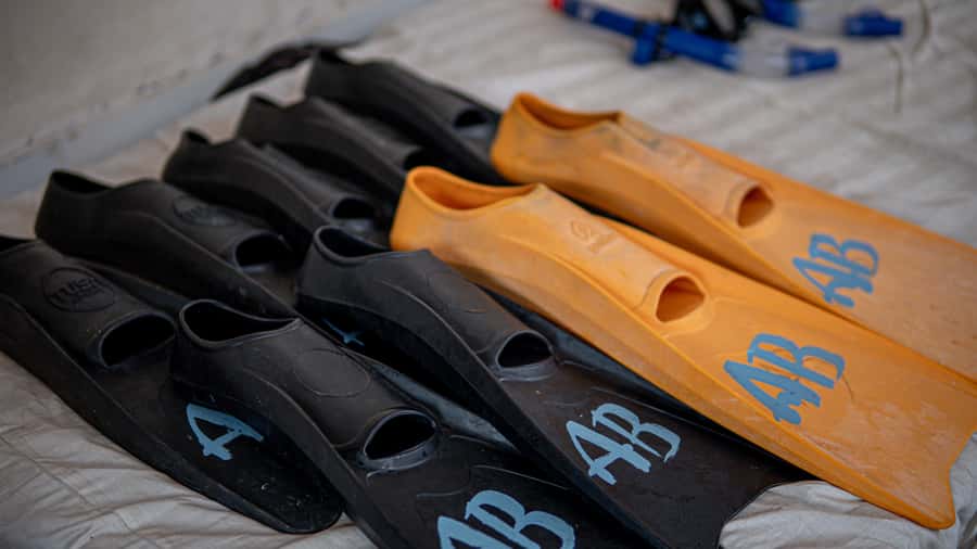 From Gili Meno: Private Snorkeling with Turtle & Statue - Timing, equipment, and what to pack