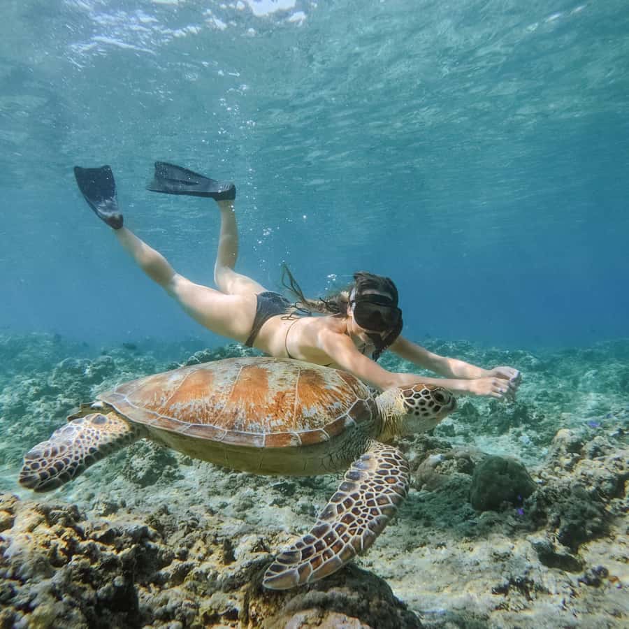 From Gili Meno: Private Snorkeling with Turtle & Statue - The boat ride and the three-stop plan