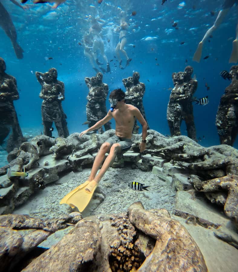 From Gili Trawangan: Gili Islands Snorkeling Boat Tour - Who should book this Gili Islands trip