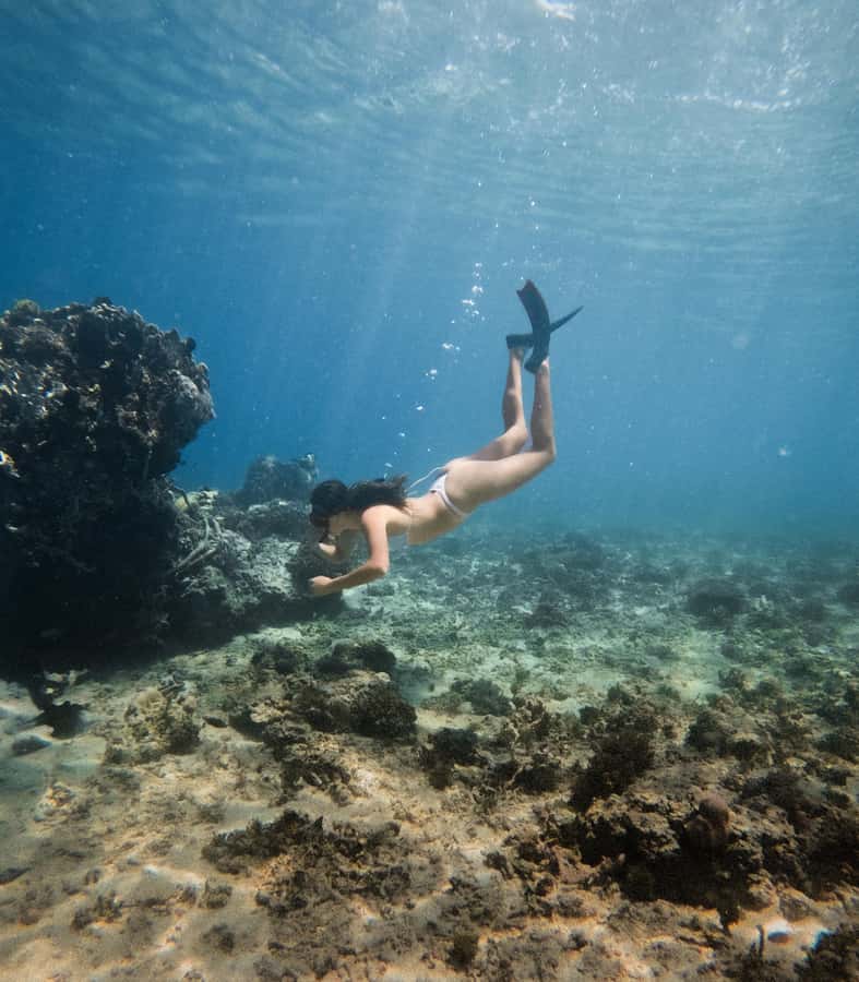 From Gili Trawangan: Gili Islands Snorkeling Boat Tour - What the GoPro service is really worth