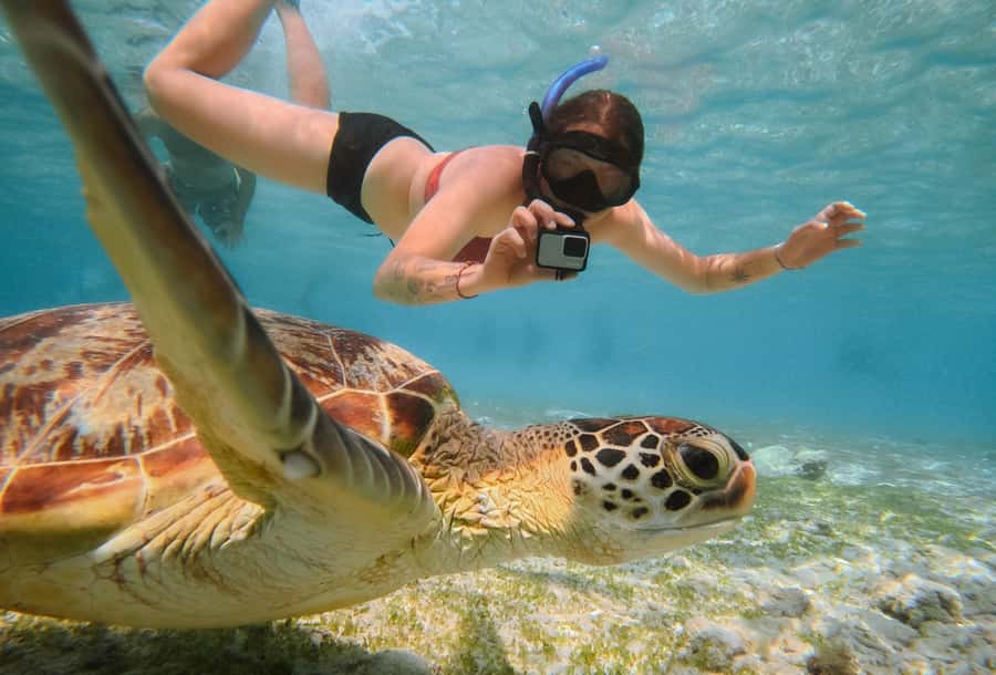From Gili Trawangan: Gili Islands Snorkeling Boat Tour - The Nest statues and the reality of a famous site