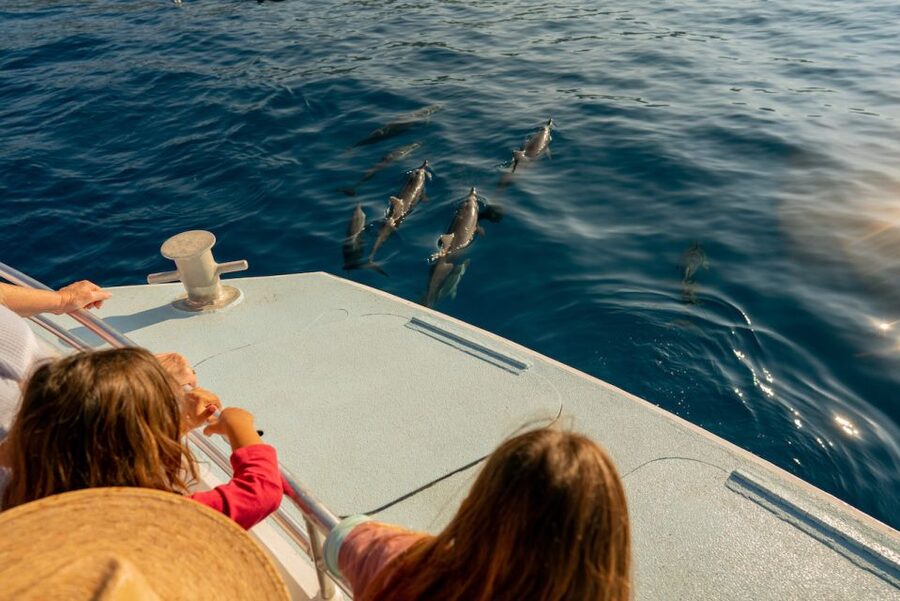 From Hawaii: Eco-Friendly Snorkeling Experience with BBQ - Water activities for strong swimmers and first-timers