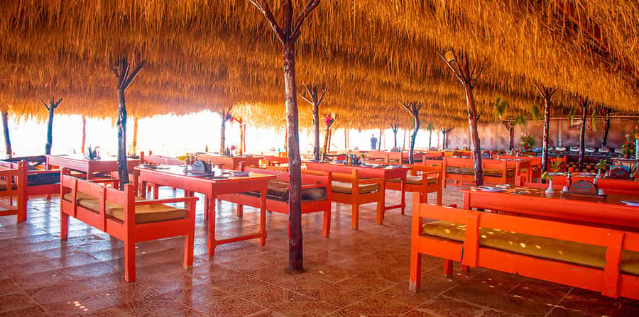From Hurghada: Paradise Island Snorkeling Cruise with Lunch - Lunch on Paradise Island