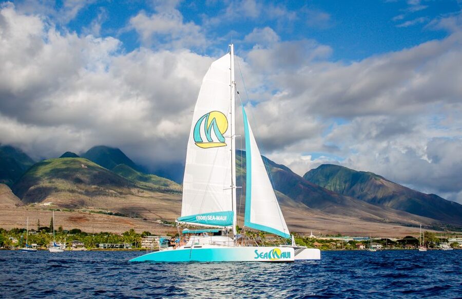 From Kaanapali: Afternoon West Maui Snorkeling w/ Drinks - Why an afternoon cruise works so well