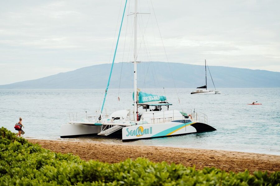 From Kaanapali: Afternoon West Maui Snorkeling w/ Drinks - Who will enjoy this trip most