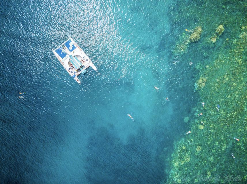 From Kaanapali: Afternoon West Maui Snorkeling w/ Drinks - Practical tips for a smoother afternoon