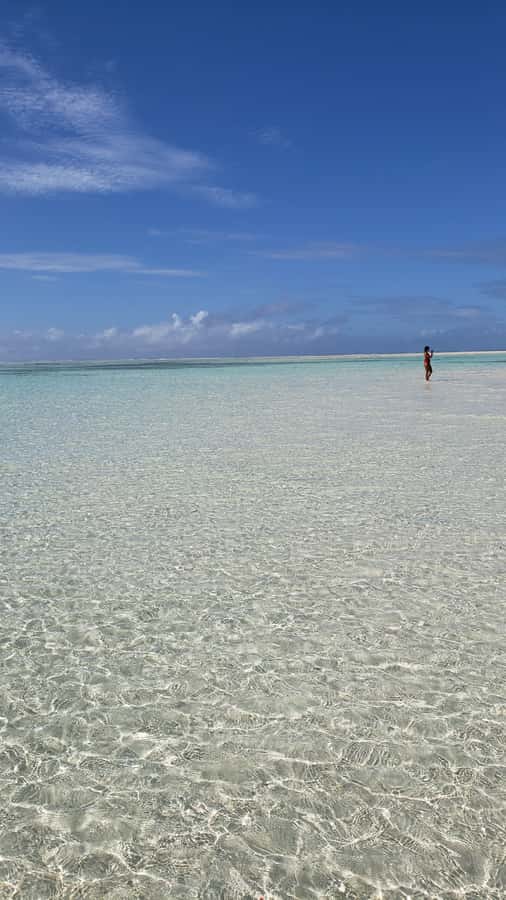 From Kendwa: Mnemba Boat Trip and Dolphin Snorkel Adventure - Key points at a glance