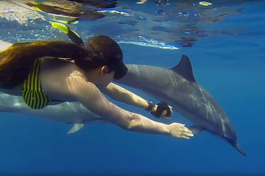 From Kendwa: Mnemba Boat Trip and Dolphin Snorkel Adventure - A four-hour morning from Mama Mia Restaurant