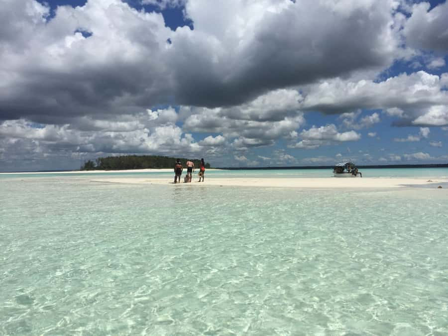 From Kendwa: Mnemba Boat Trip and Dolphin Snorkel Adventure - Who will enjoy this trip most