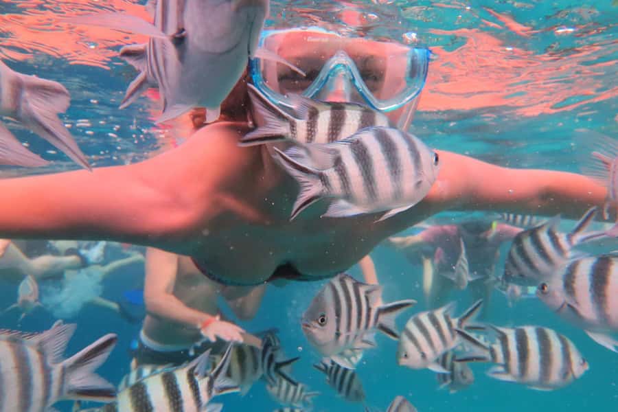 From Kendwa: Mnemba Boat Trip and Dolphin Snorkel Adventure - Practical details before you book