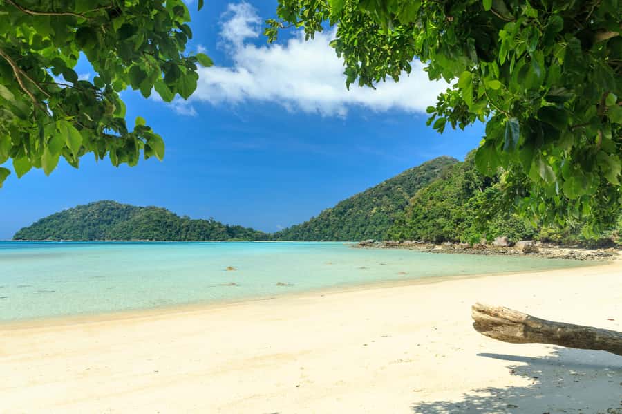 From Khao Lak: Full-Day Snorkeling in the Surin Islands - The early hotel pickup and busy pier routine