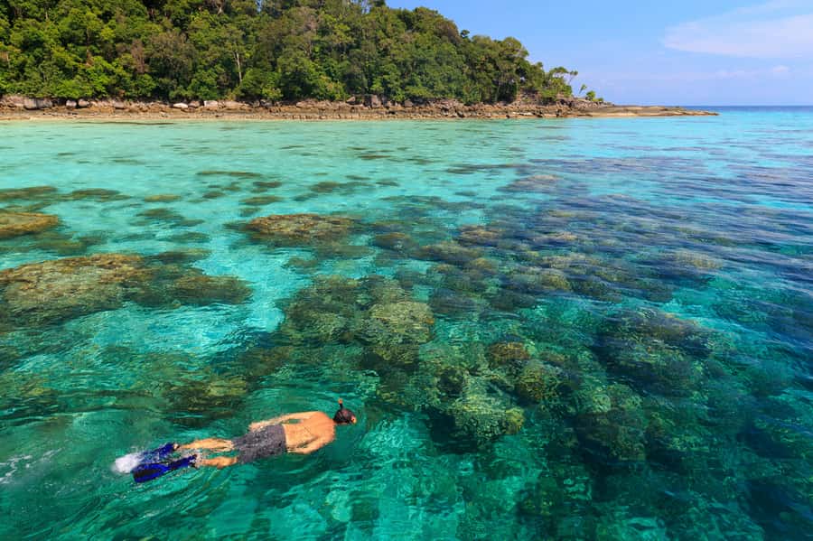 From Khao Lak: Full-Day Snorkeling in the Surin Islands - Three reef sessions are the heart of the tour