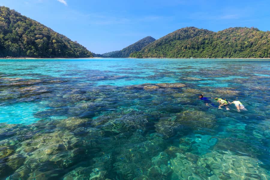From Khao Lak: Full-Day Snorkeling in the Surin Islands - What the $122 price really covers