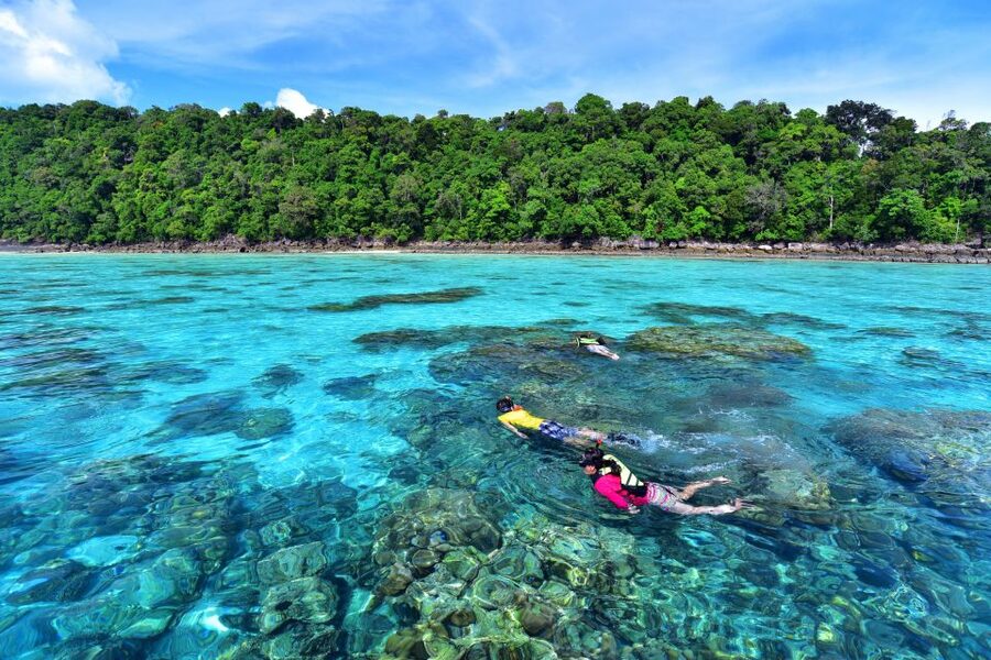 From Khao Lak: Full-Day Snorkeling in the Surin Islands - Who should book this Surin Islands day trip