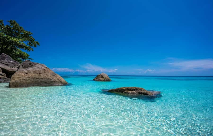 From Khao Lak & Phuket: Similan Islands Snorkeling Day Trip - What the crew adds to the experience