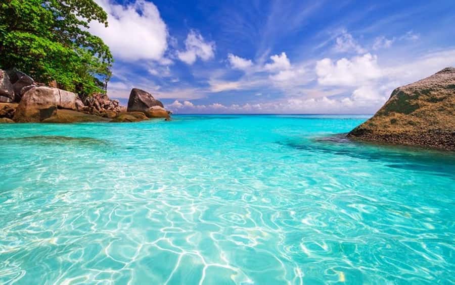 From Khao Lak & Phuket: Similan Islands Snorkeling Day Trip - The real cost of an 11-hour schedule