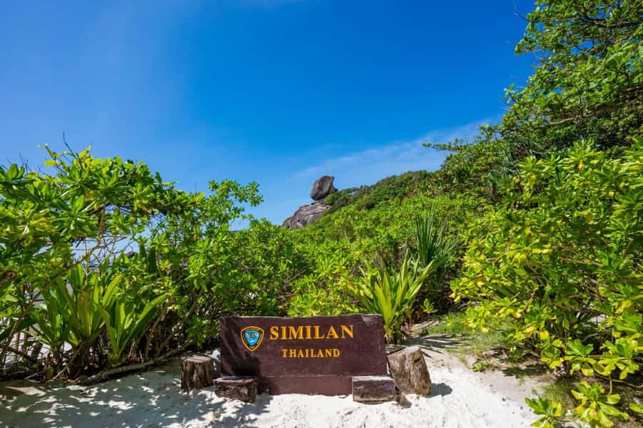 From Khao Lak & Phuket: Similan Islands Snorkeling Day Trip - Food, drinks, and practical comfort