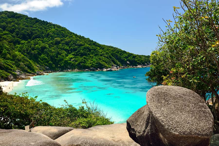 From Khao Lak: Similan Islands Day Trip with Snorkeling - Snorkeling near Island 9