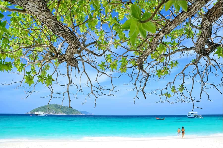 From Khao Lak: Similan Islands Day Trip with Snorkeling - Koh Payu and the second snorkeling stop