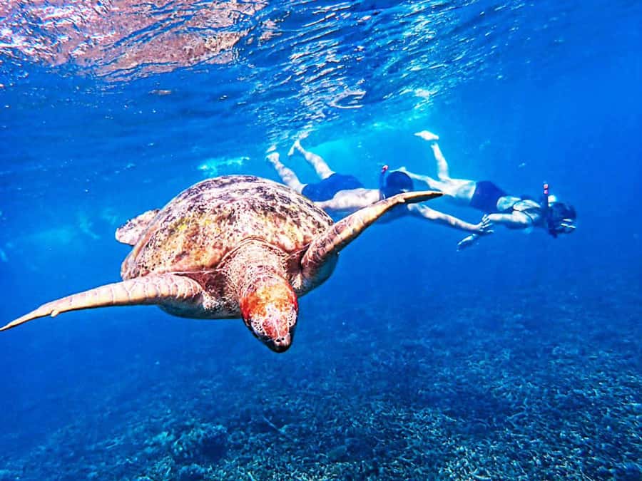 From Khao Lak: Surin Islands Snorkeling Tour w/ Meals - Meeting the Moken community