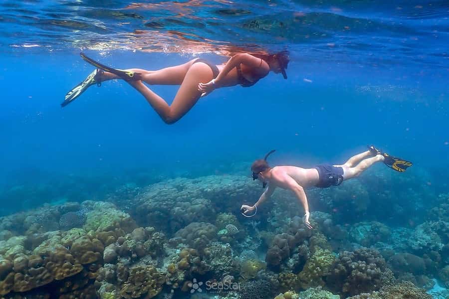 From Khao Lak: Surin Islands Snorkeling Tour w/ Meals - How the $114 price holds up