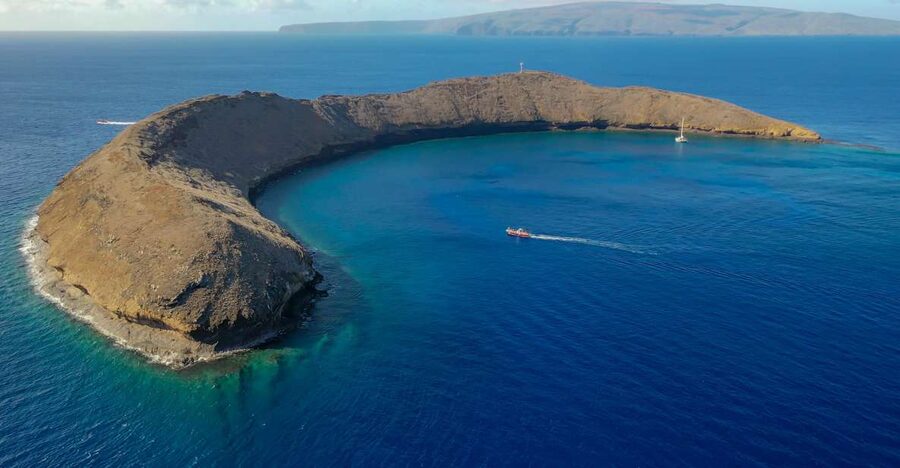 From Kihei: Molokini Crater and Turtle Town Snorkeling - Should you book this Molokini and Turtle Town trip?