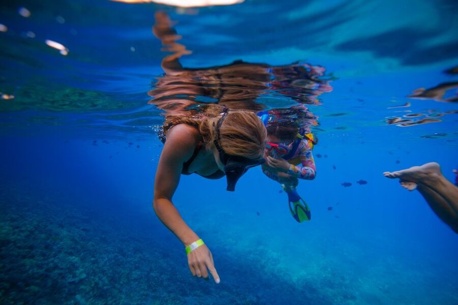 From Kihei: Molokini Crater and Turtle Town Snorkeling - A crew that stays involved