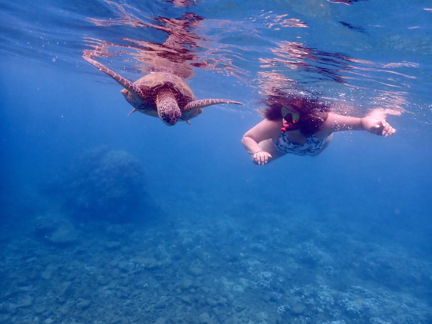 From Kihei: Molokini Crater and Turtle Town Snorkeling - How hard is the swimming?