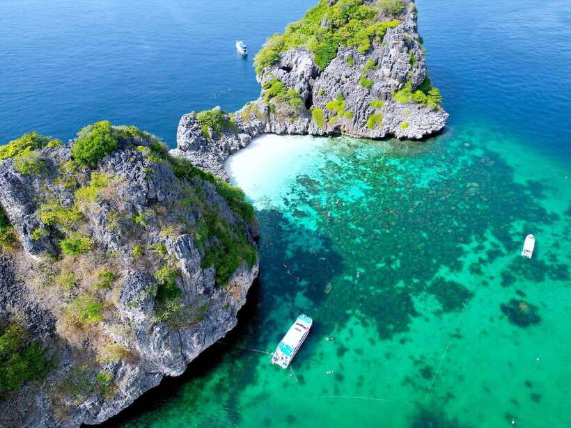 From Koh Lanta: Koh Haa & Koh Rok Snorkel Tour by Speedboat - Key details at a glance