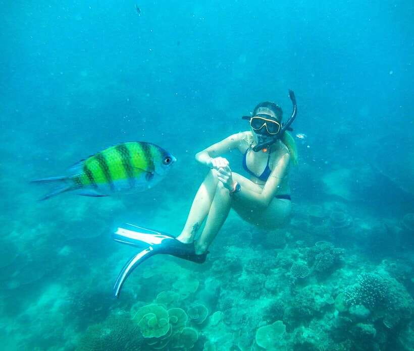 From Koh Lanta: Koh Haa & Koh Rok Snorkel Tour by Speedboat - What the $54 price really covers