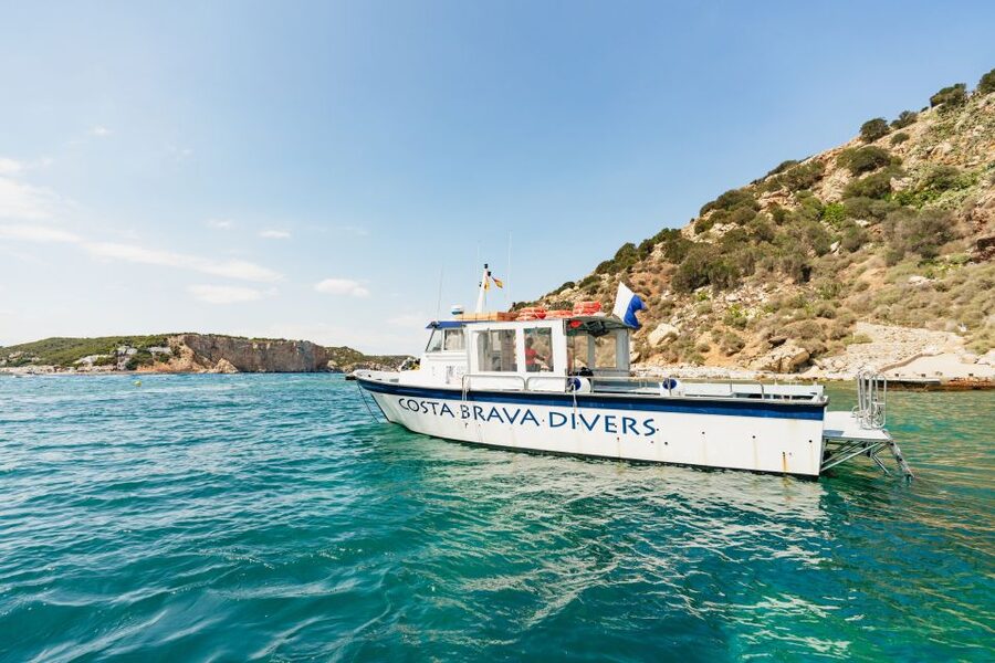 From L’Estartit: Snorkeling Trip to the Medes Islands - Key points to know before you book