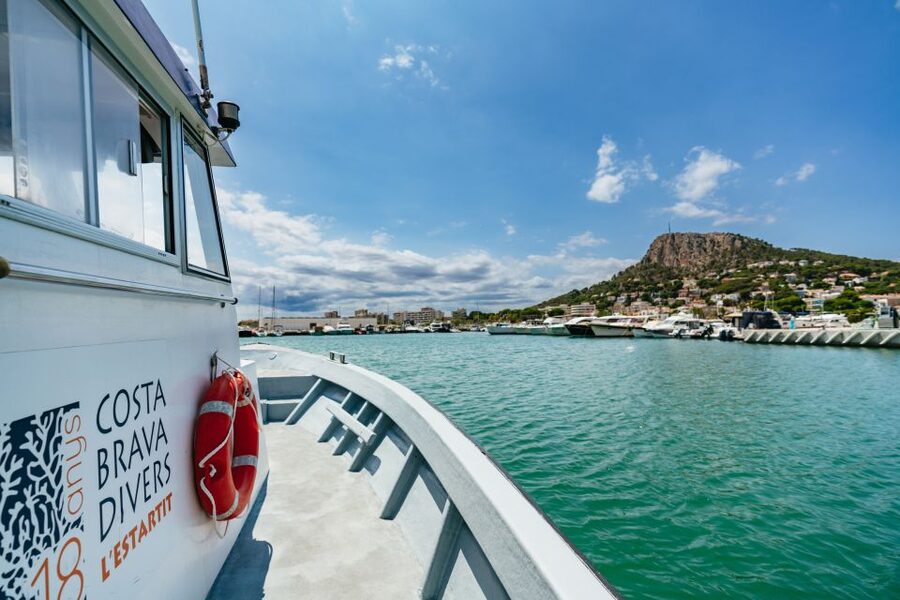 From L’Estartit: Snorkeling Trip to the Medes Islands - Fifty minutes of guided snorkeling