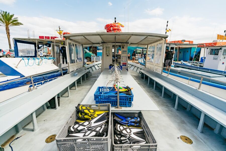 From L’Estartit: Snorkeling Trip to the Medes Islands - Weather, visibility, and realistic expectations
