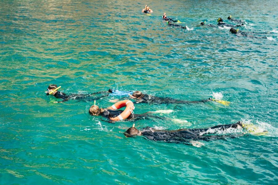 From L’Estartit: Snorkeling Trip to the Medes Islands - Starting at Medaqua in L’Estartit