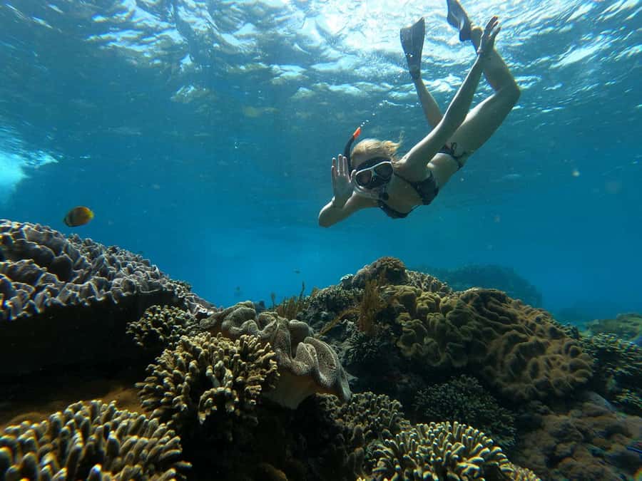 From Lembongan: Manta Point Snorkeling & West Penida Tour - Kelingking Cliff: the big postcard moment
