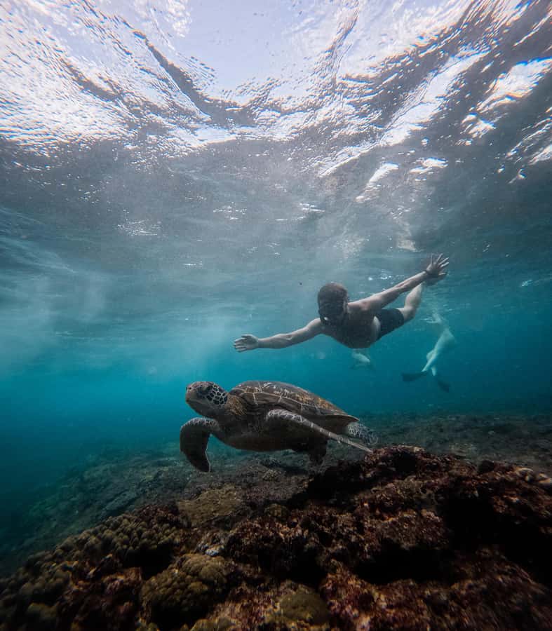 From Lembongan: Manta Point Snorkeling & West Penida Tour - What the $63 price really covers
