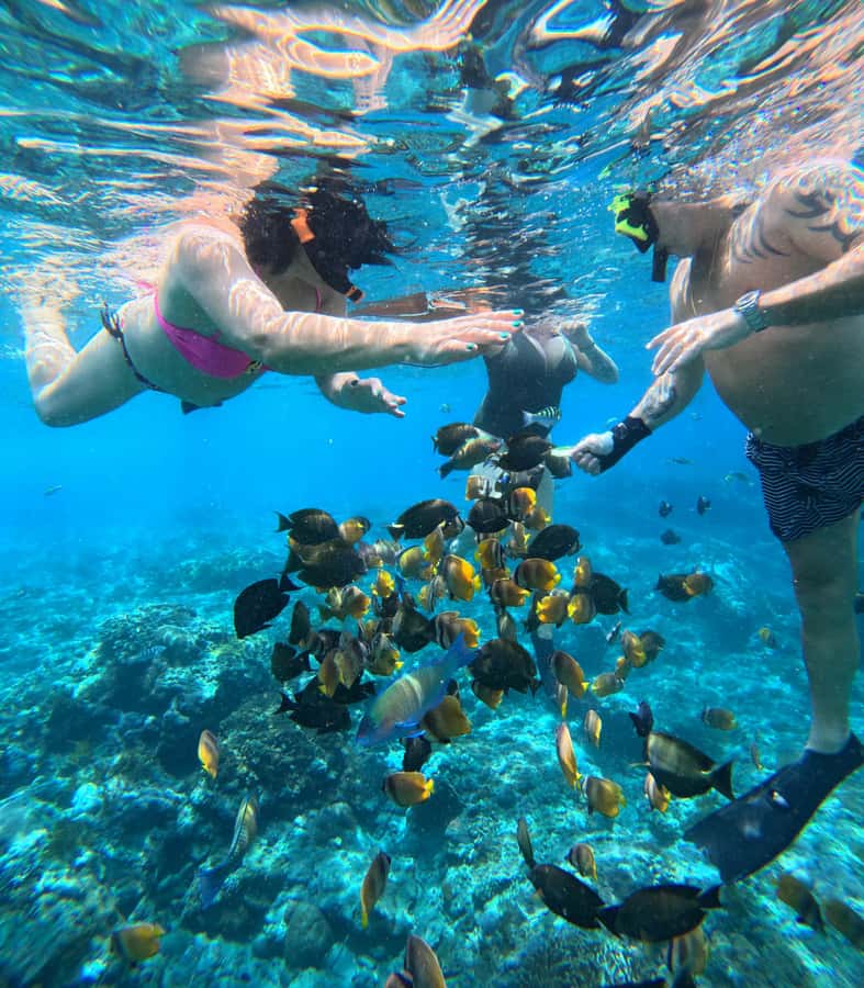 From Lembongan: Nusa Penida Private Snorkeling & West Tour - Broken Beach and Angel’s Billabong