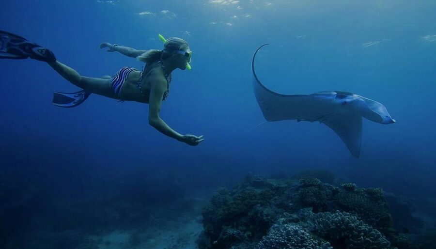From Lembongan: Nusa Penida Private Snorkeling & West Tour - Back to Lembongan before the day runs out