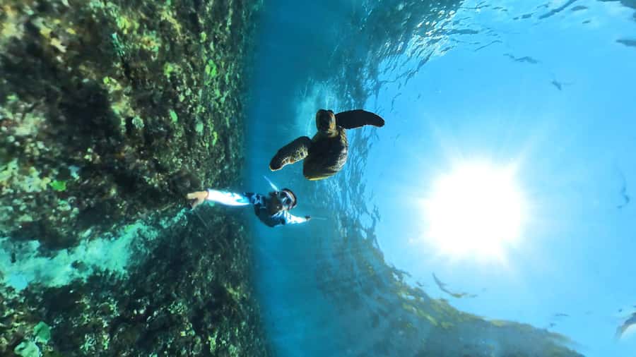 From Lembongan: Nusa Penida Snorkeling Day Trip - Three snorkel stops, with a flexible route