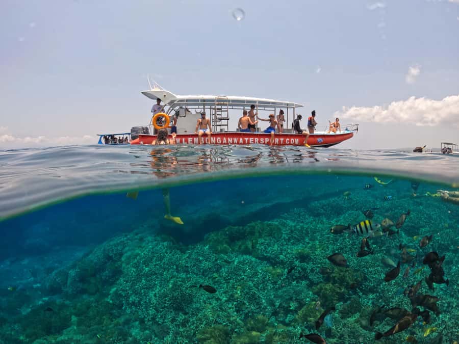 From Lembongan: Nusa Penida Snorkeling Day Trip - Lunch and the mangrove option