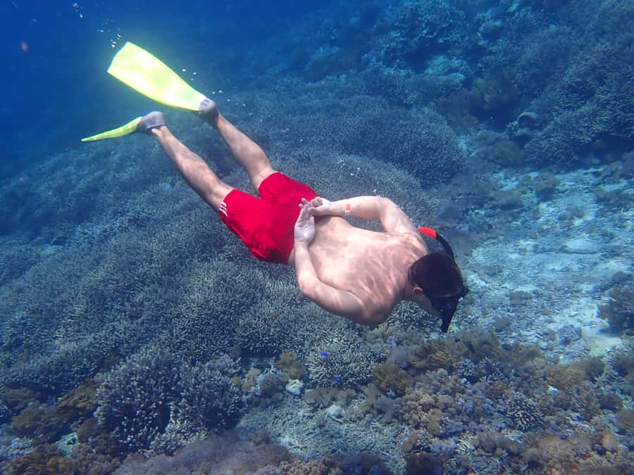 From Lembongan: Nusa Penida Snorkeling Day Trip - Starting at Mesari Beach Restaurant