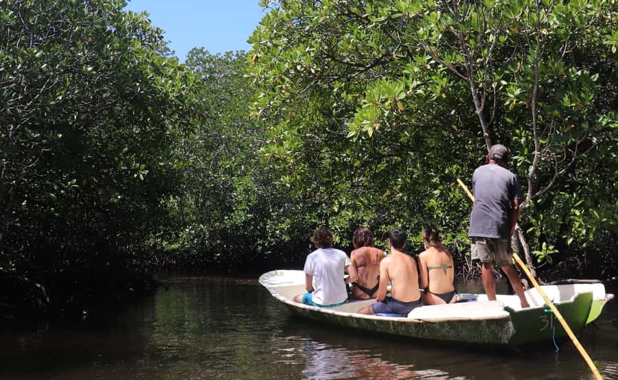 From Lembongan: Snorkeling 3 Spots, Mangrove and Land Tour - Key points to know before booking