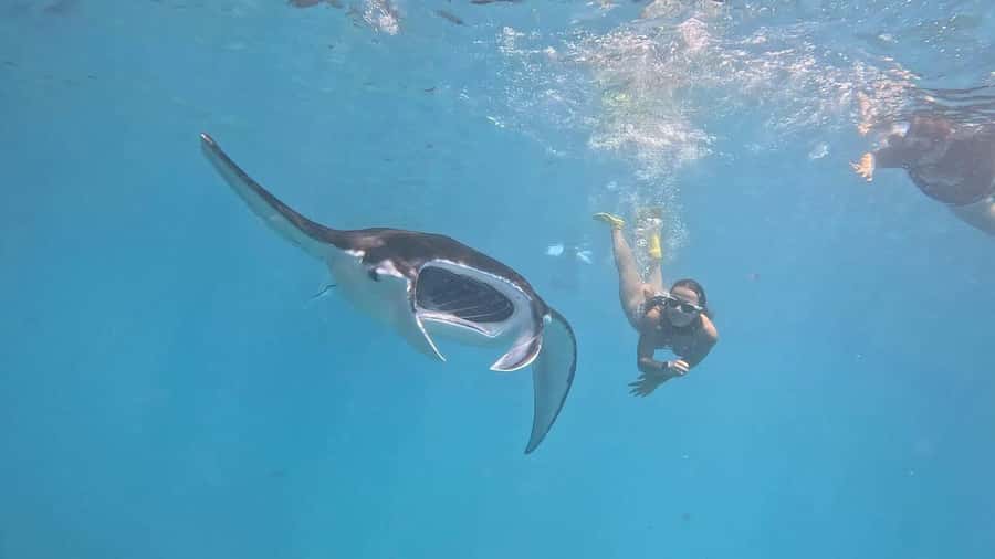 From Lembongan: Snorkeling 3 Spots, Mangrove and Land Tour - Three snorkeling sites, three different moods