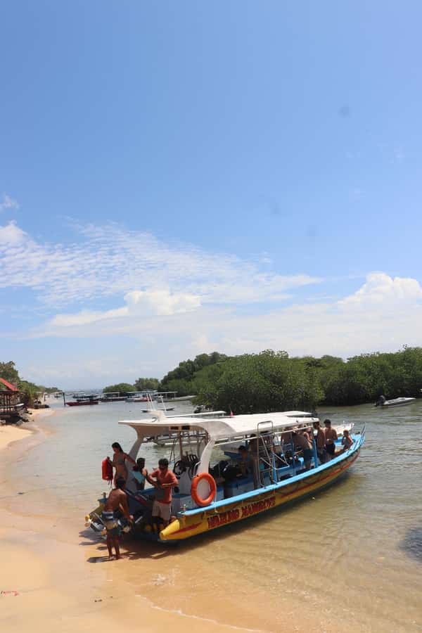 From Lembongan: Snorkeling 3 Spots, Mangrove and Land Tour - Is $23 good value?