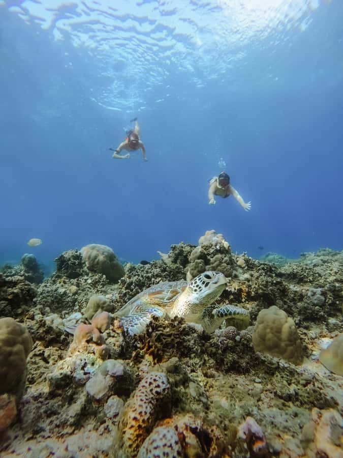 From Lombok: 3 Gili Islands Private Snorkeling Adventure - What the private boat really adds