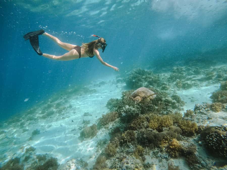 From Lombok: 3 Gili Islands Private Snorkeling Adventure - GoPro photos and videos are a real bonus