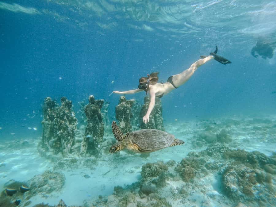 From Lombok: 3 Gili Islands Private Snorkeling Adventure - Gili Air gives you time above the water