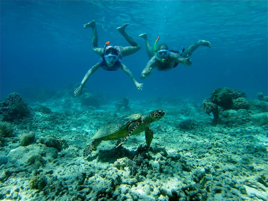 From Lombok: Gili Islands Snorkeling Day Trip - Gili Trawangan: your first look at the islands